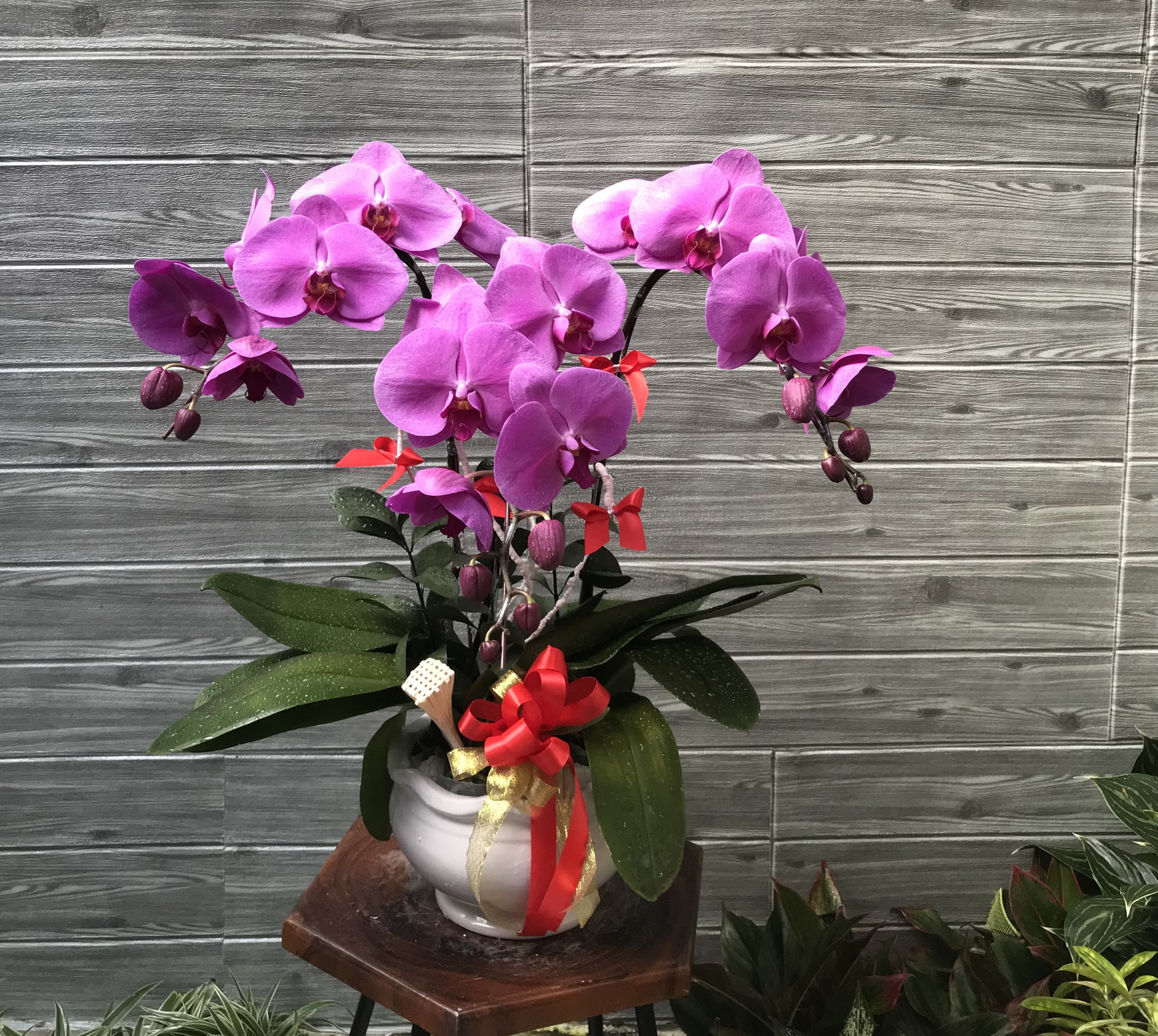 Hoa Lan Khai Trương 00080